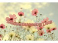 /album/jesus-/blog-jpg2/